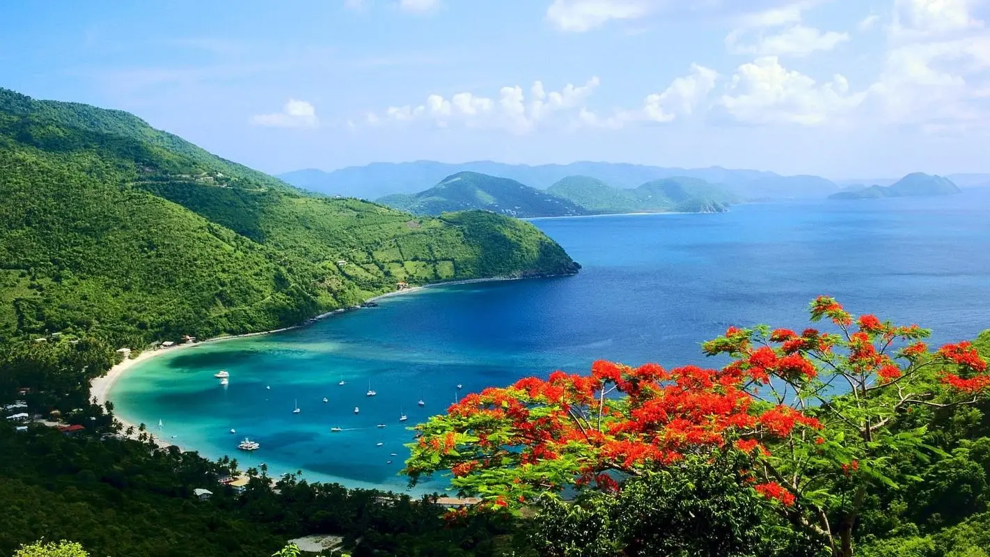 智能自动化节能